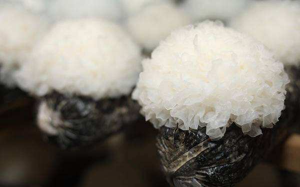 timg (1).jpg timg (1).jpg