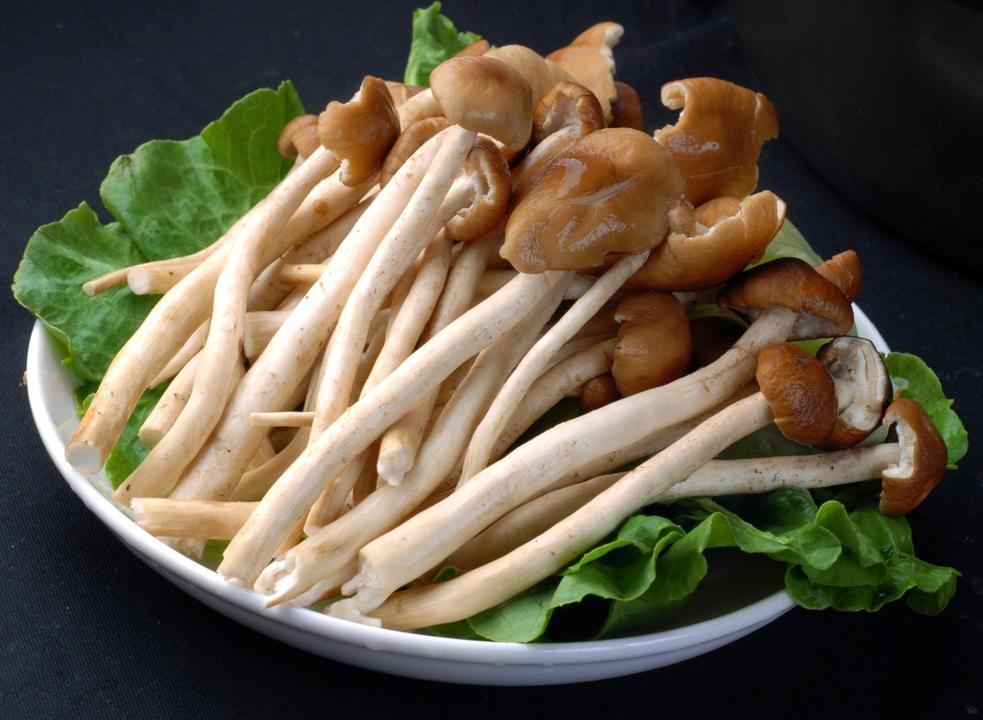 src=http---www.1mgj.com-images-201602-source_img-3382_G_1456479673633.jpg&refer=http---www.1mgj.jpg src=http---www.1mgj.com-images-201602-source_img-3382_G_1456479673633.jpg&refer=http---www.1mgj.jpg